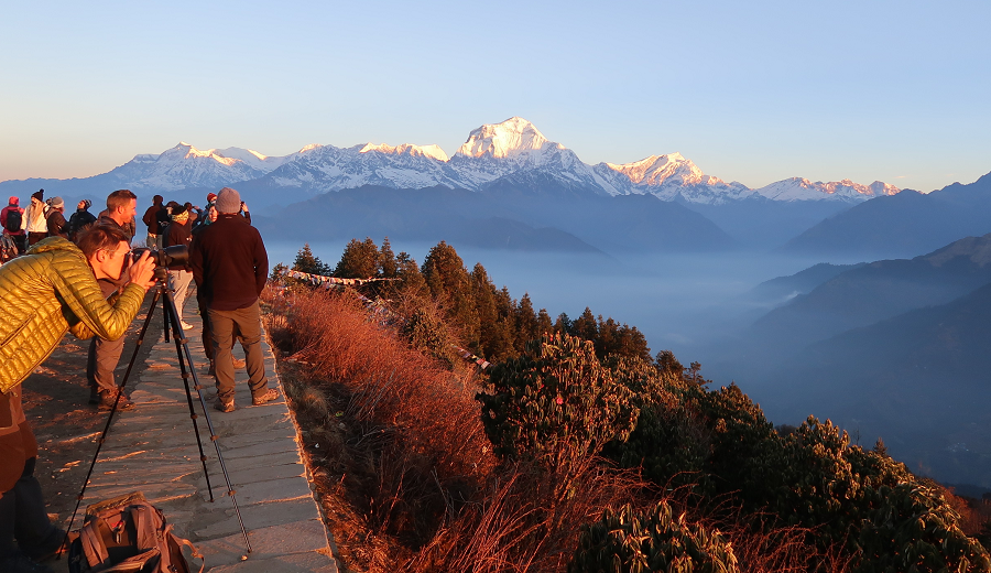 पुनहिलमा १२ हजारभन्दा बढी विदेशी पर्यटकले भ्रमण गरे