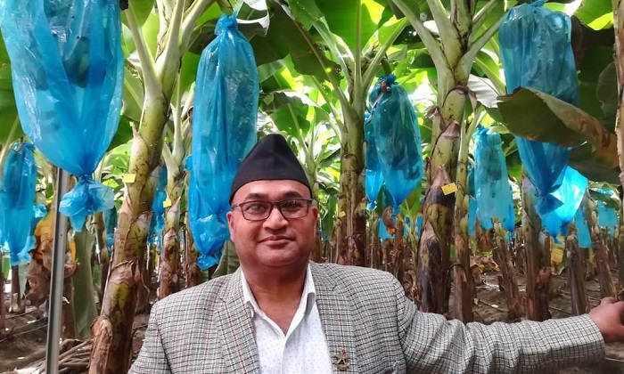 पूर्णसिंह साउदः जसलाई कृषि विकास बैंकले केराको डाक्टर बनायो