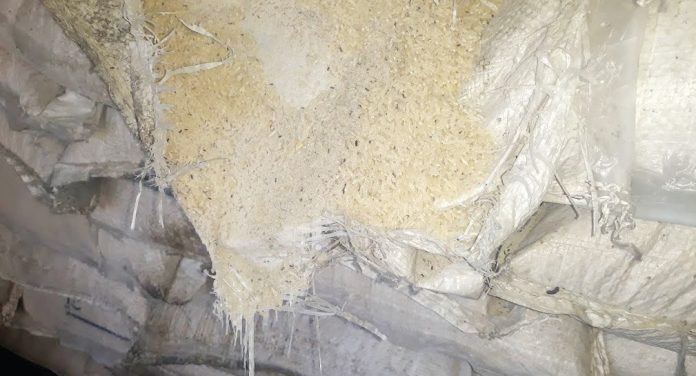 चामल कुहाउनेलाई जोगाउन अनेक हर्कत