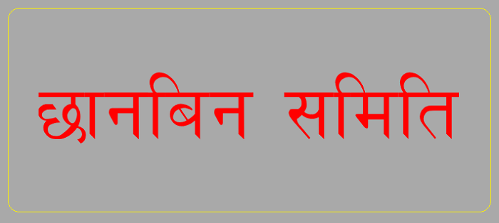 रासनकार्डमा भएको अनियमितताबारे अध्ययन गर्न समिति गठन