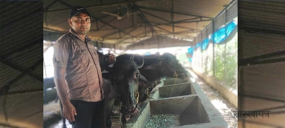 आफ्नै मेहनतका कारण सफलताले पछ्याएका राजकुमारको कृषि कथा