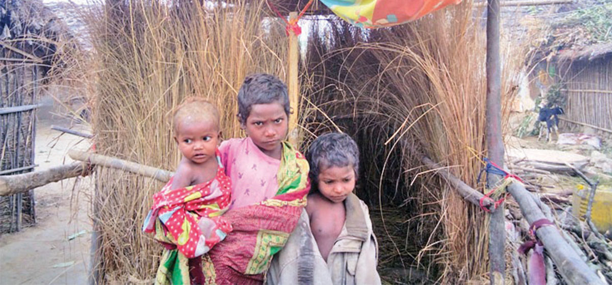 शितलहरको मारमा मधेशी विपन्नलाई ओसिएको परालको सहारा