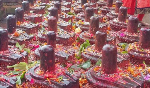 १०८ शिवलिङ्ग प्रतिस्थापन