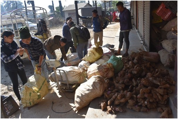 किसानलाई तरुल खन्ने र बेच्ने चटारो, नजिकियो माघे संक्रान्ति