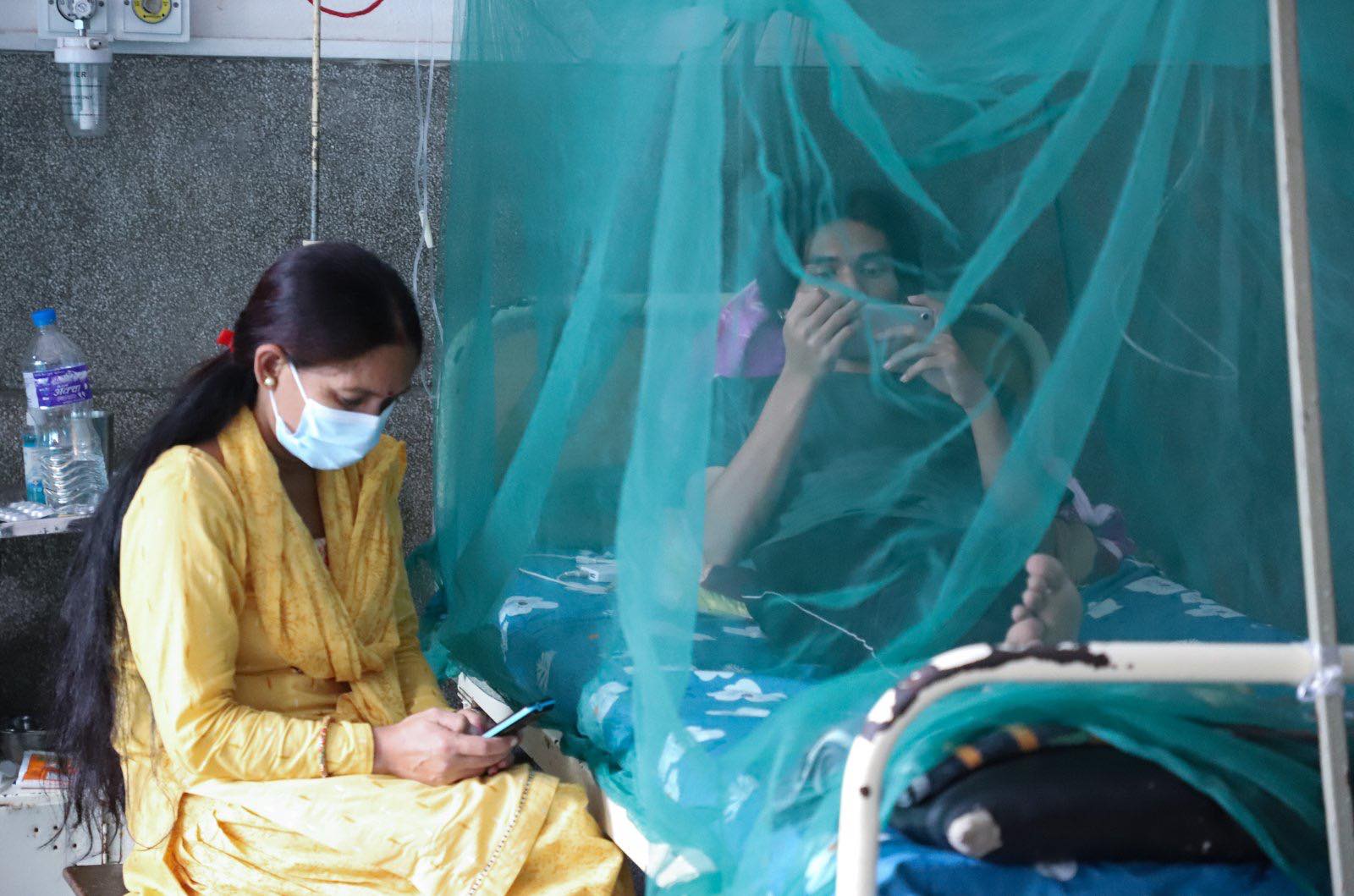 नेपालमा स्वास्थ्य संकटकाल लाग्न लागेको हो ? ७५ जिल्लामा फैलियो डेगु