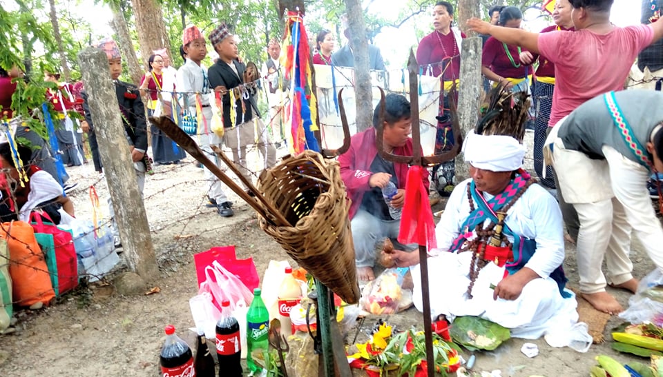 मनाइँदै उँभौली पर्व