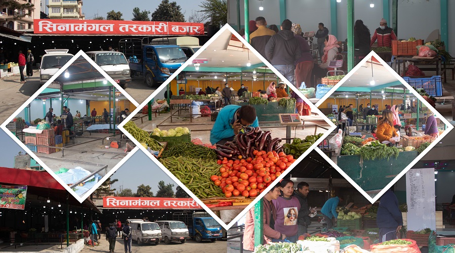 सिनामंगलमा होलसेल तथा खुद्रा तरकारी बजार सञ्चालन