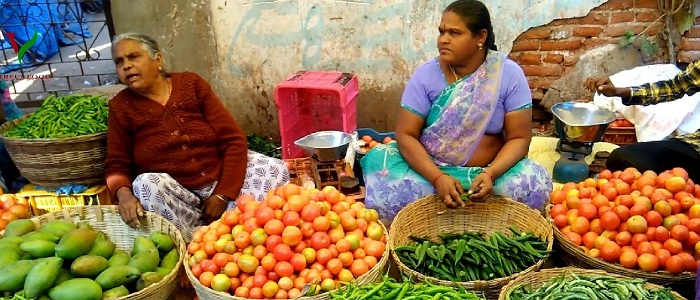 तरकारी व्यापारले फेर्दैछ महिलाको जीवनस्तर