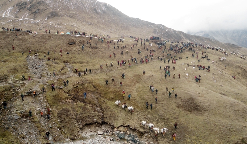 यार्सा टिप्नका लागि साइपालमा आजदेखि एक महिना विद्यालय बन्द