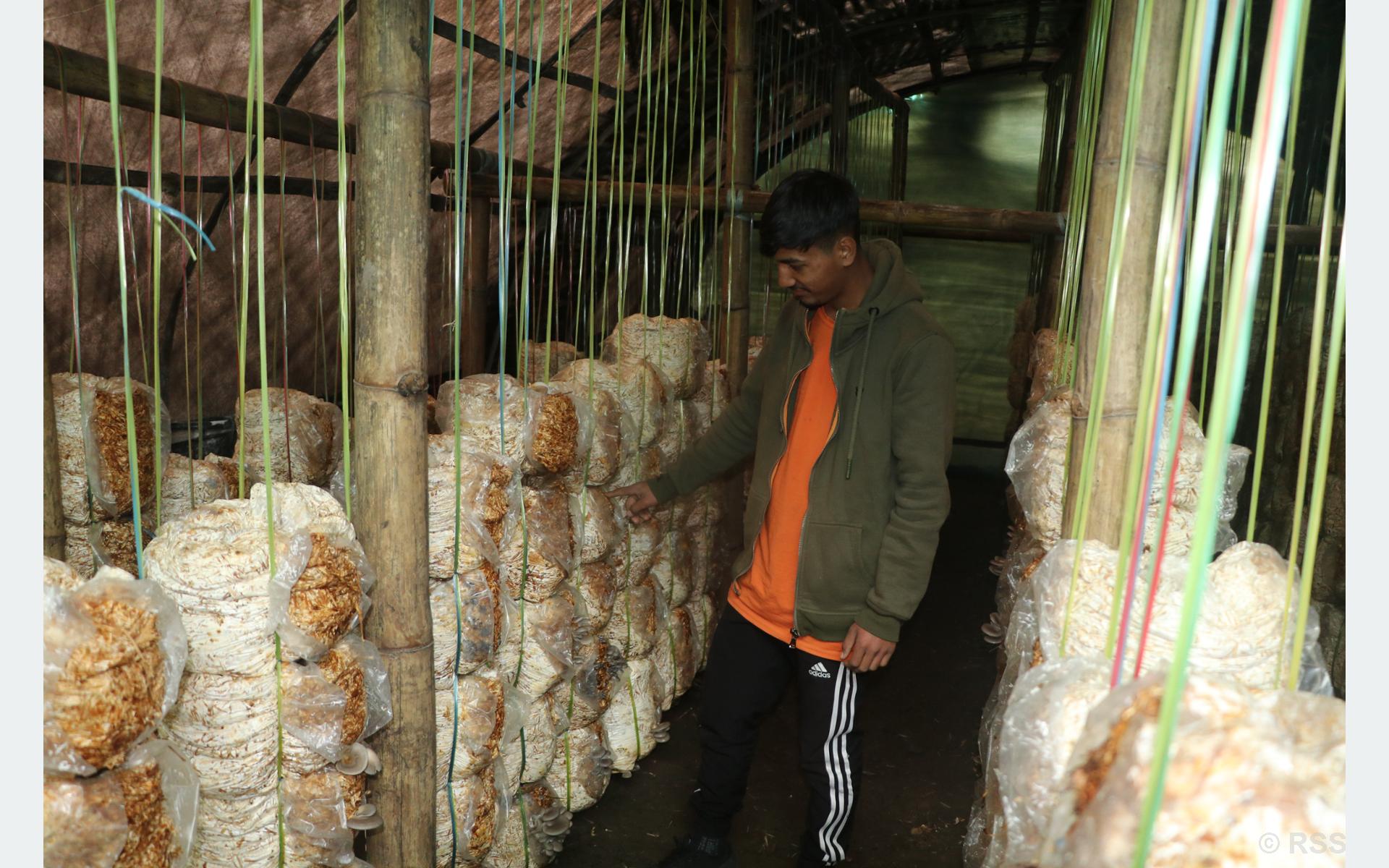 २० वर्षीय युवाको लोभलाग्दो कर्म, महिनामै २ लाख कमाइ
