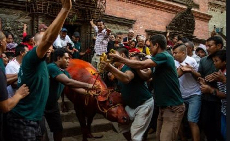 खःमेय बध गरी जात्रा सम्पन्न, ब्रह्मायणी जात्रा सुरु